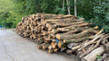 Waldkiefer-Stammholz 1 LKW - 40RM