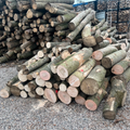 Gemischtes Laub 1 LKW - 40RM